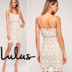 Lulus White Lace Giovanni Dress NWT Size Large
